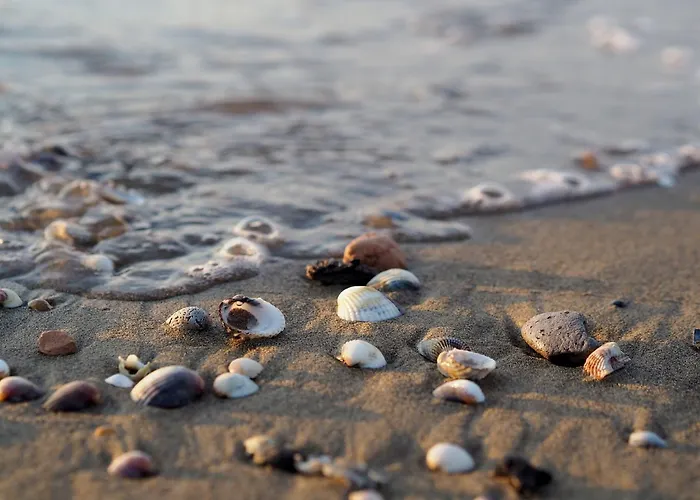 Flat With Common Pool In - Beahost * Bibione