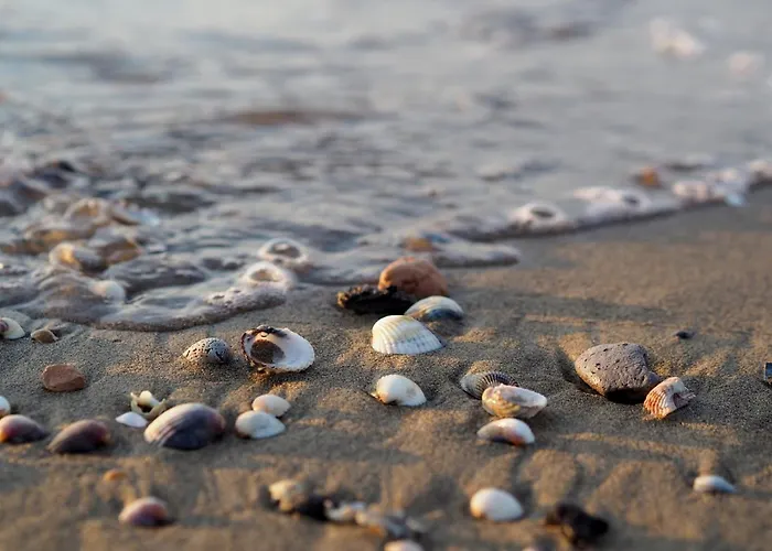 Flat With Common Pool In - Beahost Apartment